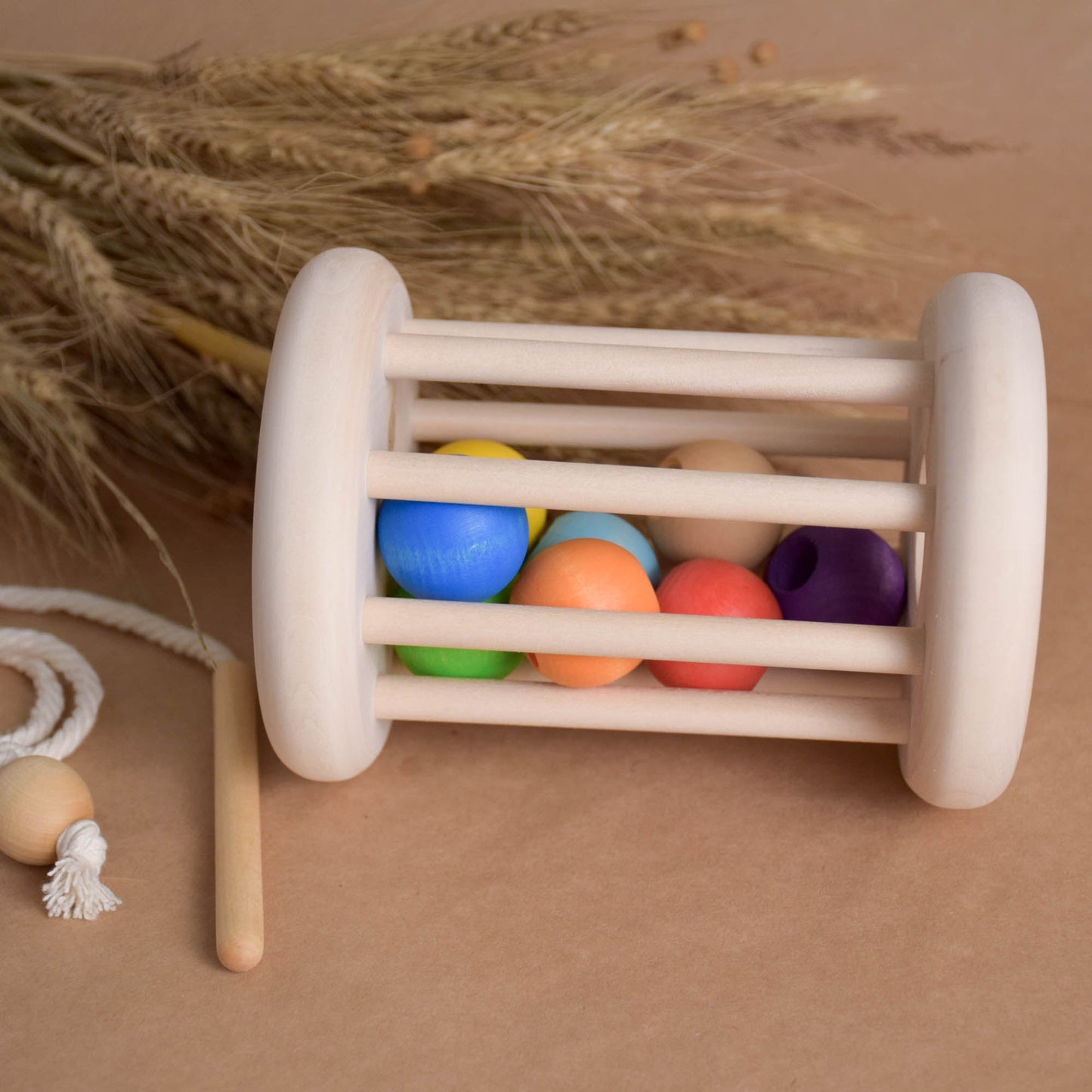 Montessori Classic Rolling Ball Cylinder Toy with Lacing Toy Rainbow Balls